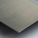 The Taj Mahal Collection 5 Metal print