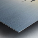 The Taj Mahal Collection 19 Metal print