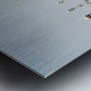 The Taj Mahal Collection 3 Metal print