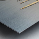 The Taj Mahal Collection 8 Metal print