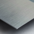 The Taj Mahal Collection 6 Metal print