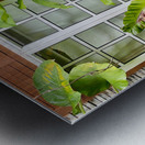 Maboul Island 19 Metal print