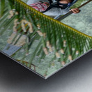 Maboul Island 17 Metal print