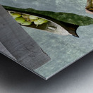 Maboul Island 16 Metal print