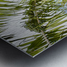 Bird Couple Koh Tao Thailand Metal print