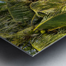 From the Balcony in Miri 2 Metal print