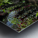 Face in the Ground Munduk Bali Metal print