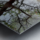 Cibuni Rengganis Crater Java Indonesia 7 Metal print