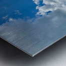 Kabili Sepilok Forest Reserve 1 Metal print