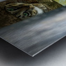 Kampong Ayer Floating Village Brunei 5 Impression metal