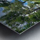 Kabili Sepilok Forest Reserve 2 Metal print