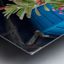 Sim Sim Traditional Floating Village in Sandakan 9 Impression metal