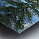 Park in Bandar Seri Begawan Brunei Metal print