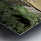 The Lizard Munduk Bali Metal print