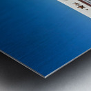 Boardwalk Jeju South Korea 1 Metal print