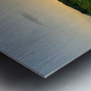 A Horse at Sunrise Jeju South Korea Metal print