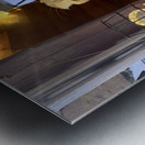 Cuty Cat Jeju South Korea Metal print