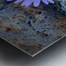 Flower on the Rocks Udo South Korea Metal print