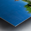 Jongmyo Shrine Seoul Korea 4 Metal print