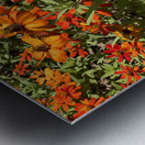 Orange Flowers Seoul South Korea Metal print