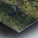 Around Jeju City South Korea 8 Metal print