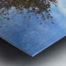 Stone Park Jeju South Korea 6 Metal print