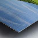 Seopjikoji Jeju South Korea 1 Metal print