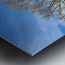 Stone Park Jeju South Korea 5 Metal print