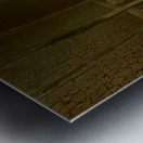 Stone Park Jeju South Korea 4 Metal print