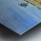 Stone Park Jeju South Korea 2 Metal print