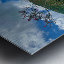 The Tree Jeju South Korea Metal print