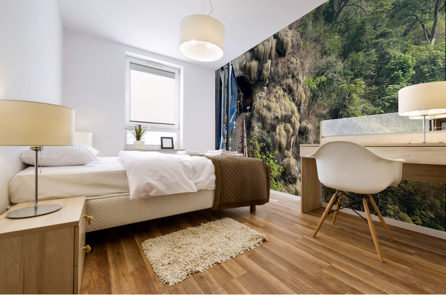 Toy Train Tunnel Mural print