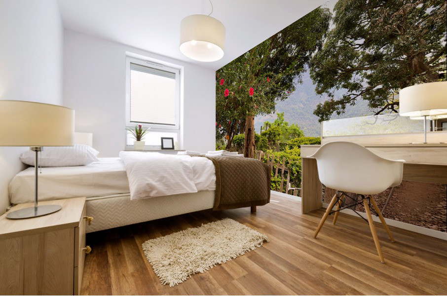 Red Flowers Gate Impression murale