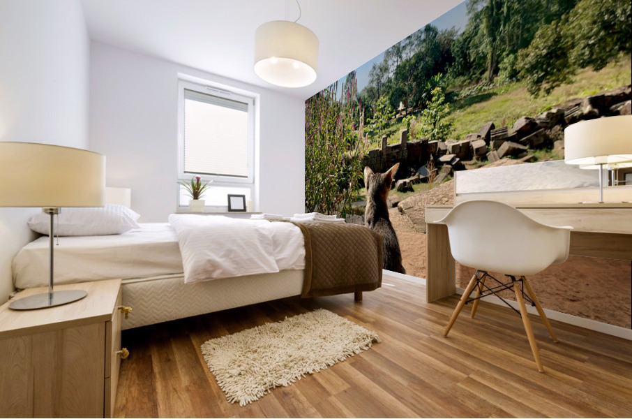 Kitty Overlooking the Garden Mural print