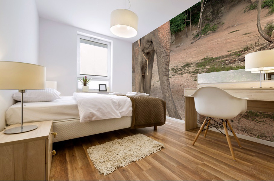 Elephant Trunk Sideways Mural print