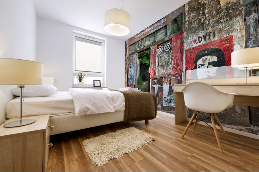 Graffiti Door Mural print