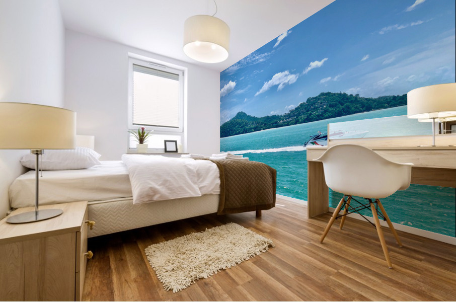 Fast Boat Mural print