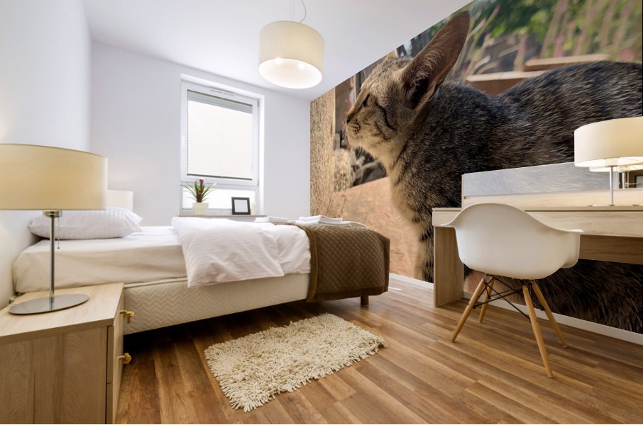 Cat Dreaming of the Future Mural print