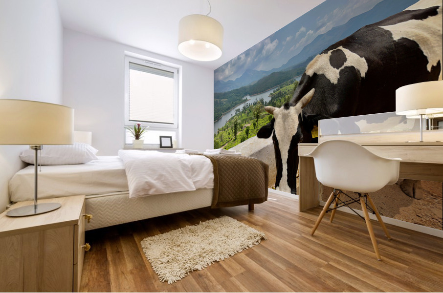 Cow with a View Mural print