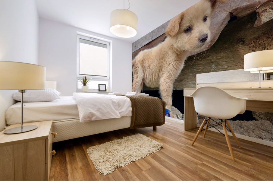 Flip Flop Puppy Mural print