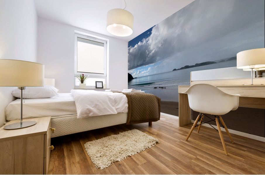 Half Nice Half Rain 2 Mural print