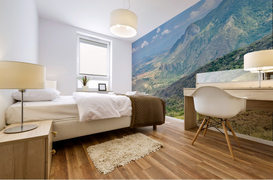 Look Down on the Valley Mural print