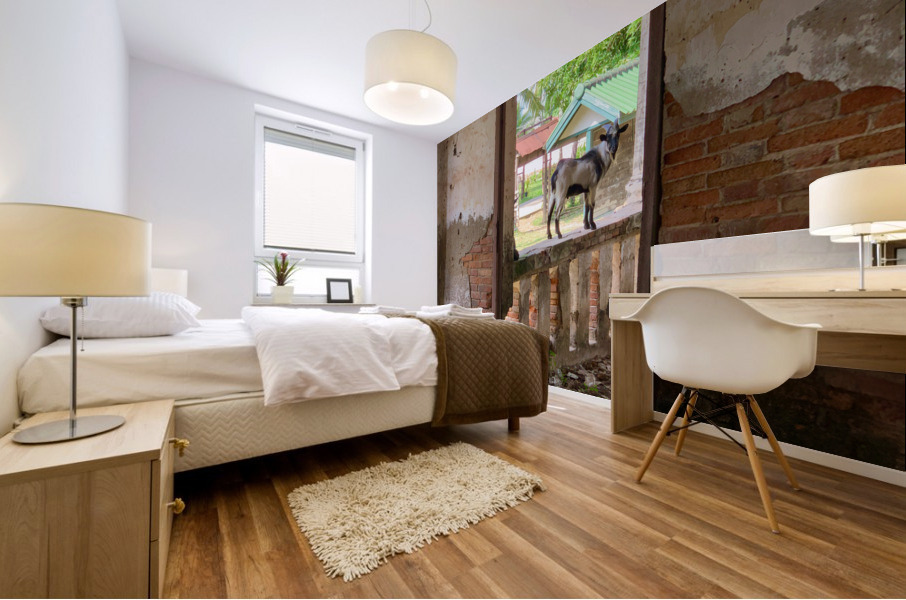 Goat by the Door Mural print