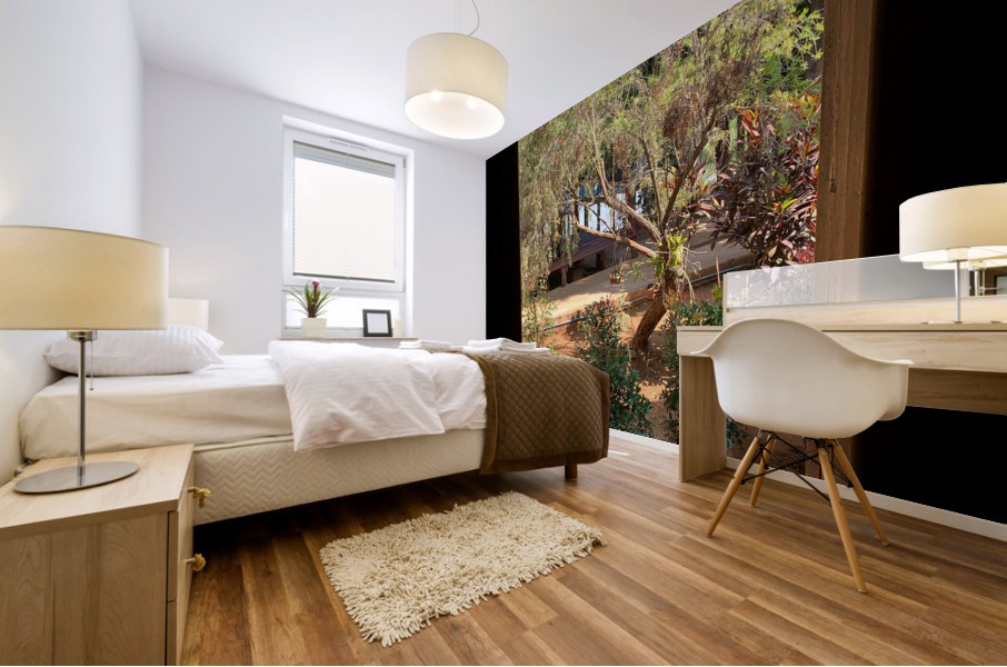 Tree by the Window 2 Mural print