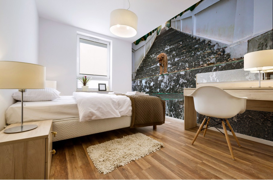 Puppy Walking Down Mural print