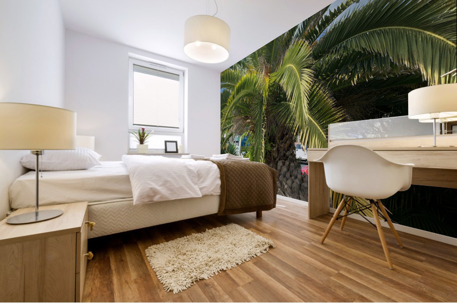 Baby Palm Tree Mural print