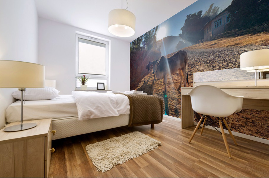 Cows in the Sun Mural print