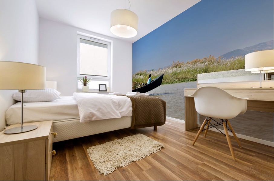 Fast Boat on the River Mural print