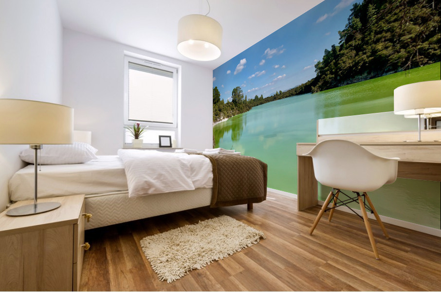 Green Lake Impression murale