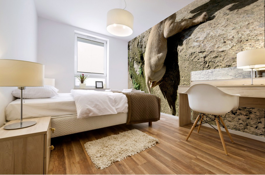 Puppy s efforts Mural print